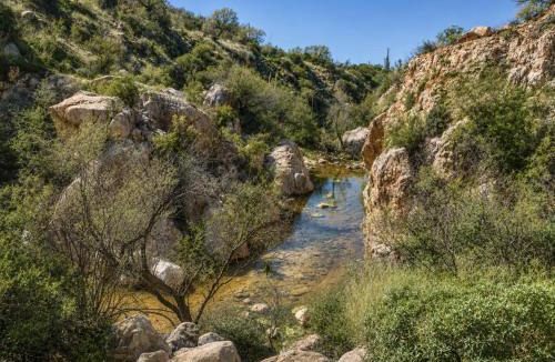 Rancho Vistoso House | Private Pool & Waterfall Evening Lights