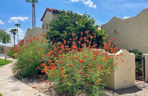 Alta Mesa Community Association House | Relaxing & Spacious Mesa Getaway with pool and hot tub just steps away!