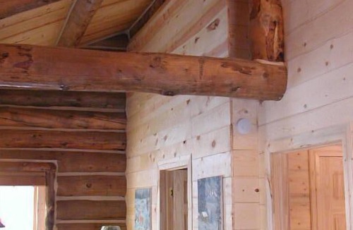 Custer House | Renegade