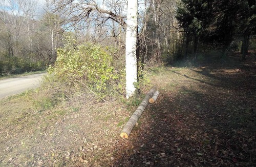 Cherry Valley RV Rental | Rustic Secluded Peaceful Getaway in Cherry Valley
