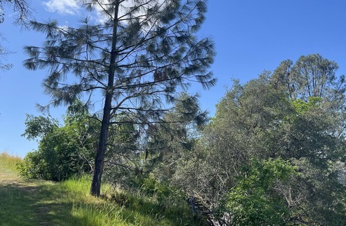 Raisin RV Rental | RV Parking in the beautiful country