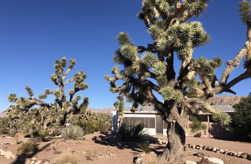 Meadview House | Secluded home in the Joshua Tree Forest close to the Grand Canyon West Skywalk