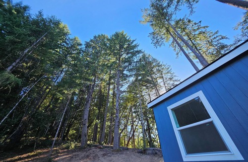 Willits House | Serene 4-bedroom house in Willits perfect for relaxing getaways