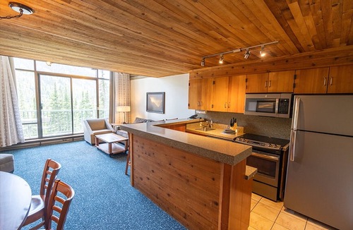 Salt Lake Mountain Resorts Resort | SnowBird Slopeside 10th Floor 2 Story Loft @ the Iron Blosam; Ski In - Relax Out