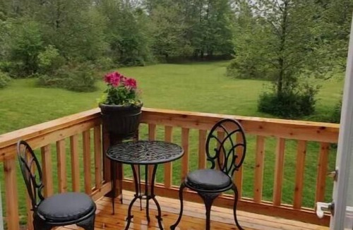 Tanner Apartment | South Fork River Retreat - Close to Downtown