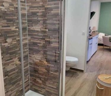 Arcis-sur-Aube Apartment | Studio centre d Arcis