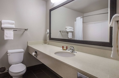 Pullman Hotel | Stunning View of Pullman! Spacious Room w/Free Breakfast, Free Parking, Pool