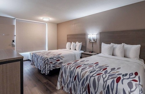 Tucson Hotel | Three Deluxe 2 Queen Rooms—Relaxing, Clean & Perfect for Multi-Room Travel
