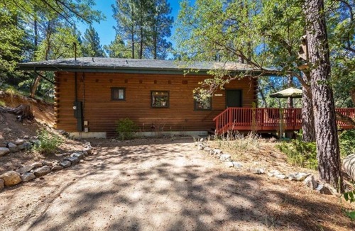 Ponderosa Park Cabin | Treehouse Cabin is your Mountain Getaway