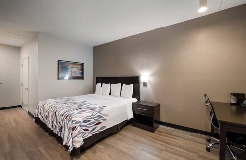Cortaro Hotel | Unwind After the Road in Clean, Pet-Friendly Room Near Key Tucson Sites