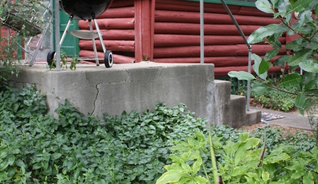 1930's Rustic Studio Cabin on a Private Estate, Sleeps 2 in Clearlake