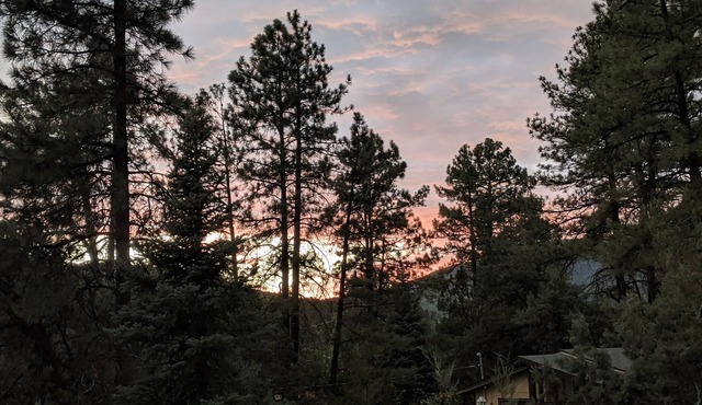 3 Bdrm Pet Friendly Cabin, King Bed, AC, Walking distance to Pine attractions 🌲