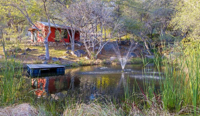7.5 Acre Sprawling Sequoia Estate with Hot Tub, Private Pond and Flume hike