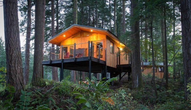 ADA Luxury Tree House in Heart of Washington in Stevenson
