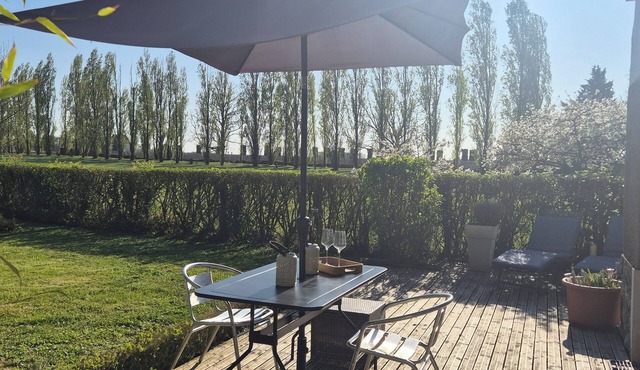 Amboise, lovely air-conditioned house in the heart of the vineyards, in Lussault/Loire