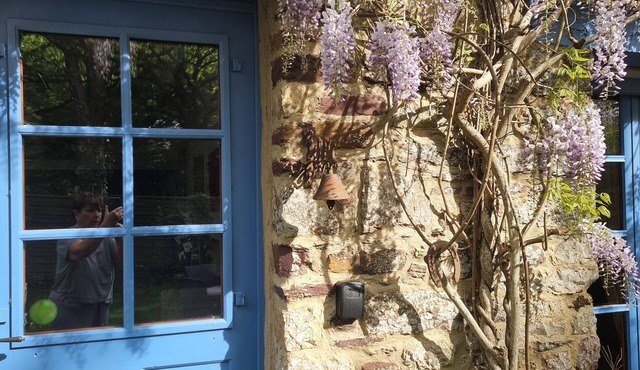 Authentic and cosy gîte for 6 people in Paimpont in Paimpont