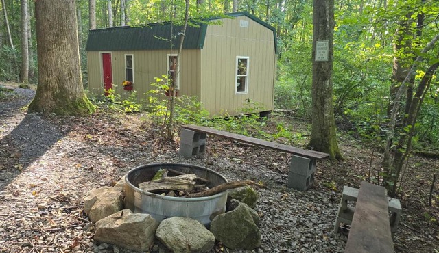 B1 Dryfork Forest Haven-Electric-Heat in Parsons