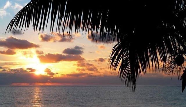 Beachfront Condo in Puerto Morelos with Pool in Puerto Morelos