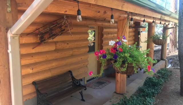 Beautiful bunkhouse in forest just hours outside Phoenix metro area