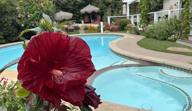 Beautiful home on 1/2 acre lush garden - and 1 mile to the beach!