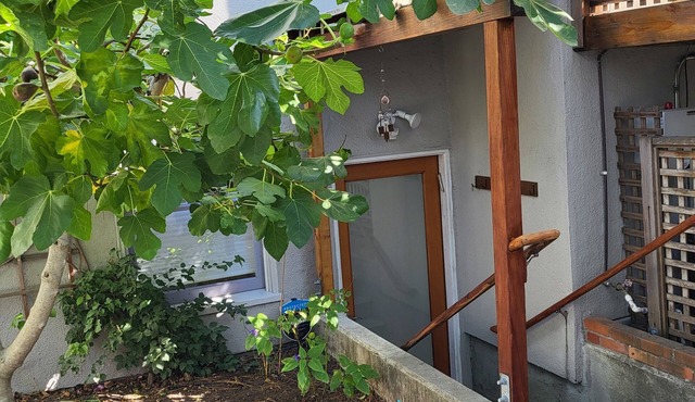 Beautiful North Berkeley private 1 bedroom flat in Berkeley