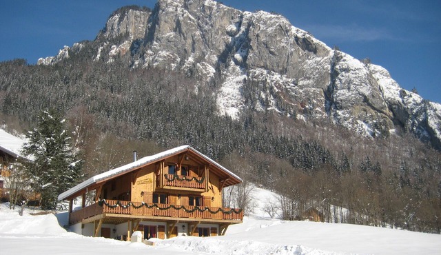 Beautiful, spacious 12 person chalet, Portes du Soleil, France in Abondance