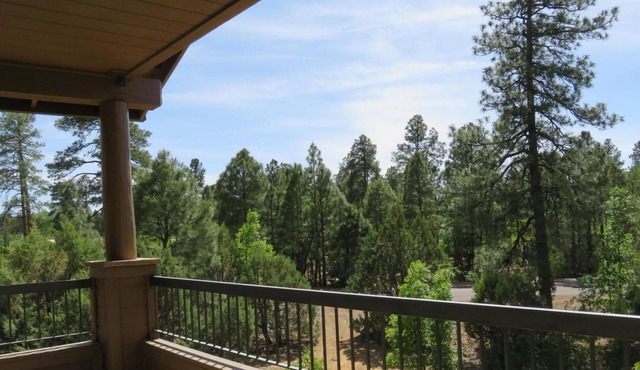 Beautiful views & year round get away Ideal for month long stays! in Show Low