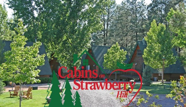 Cabins on Strawberry Hill in Pine