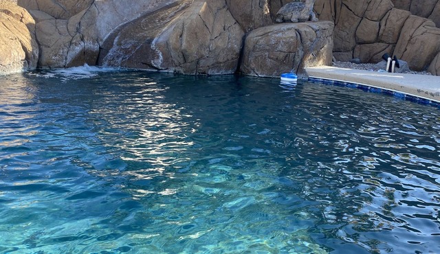Central Lake Havasu home - pool and water slide!