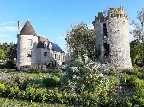 Château exceptionnel avec piscine privée, spa & WiFi - FR-1-381-410 in Saint-Bauld
