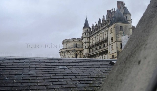 Charming accommodation in the heart of Amboise with Wi-Fi in Amboise