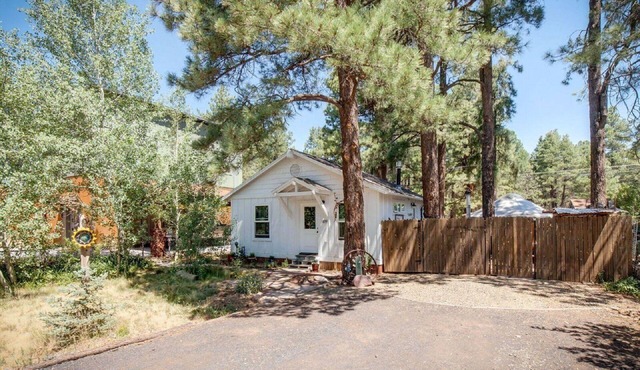 Charming European style house with Yurt and direct National Forest access in Flagstaff