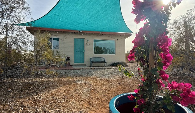 Charming Gated Tiny House on 2 Acres! Towering Saguaros, Endless Trails! in Tucson