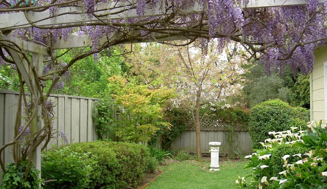 Charming home near the historic square