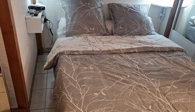 Charming studio with mezzanine, Nice Parc Phoenix, near train station and airport. in Nice