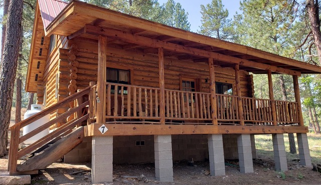 Circle Pine Ranch- "The Real Log Cabin Experience"