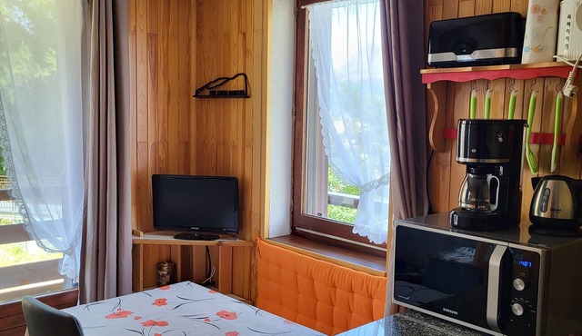 Comfortable apartment at the foot of the slopes in Puy-st-vincent