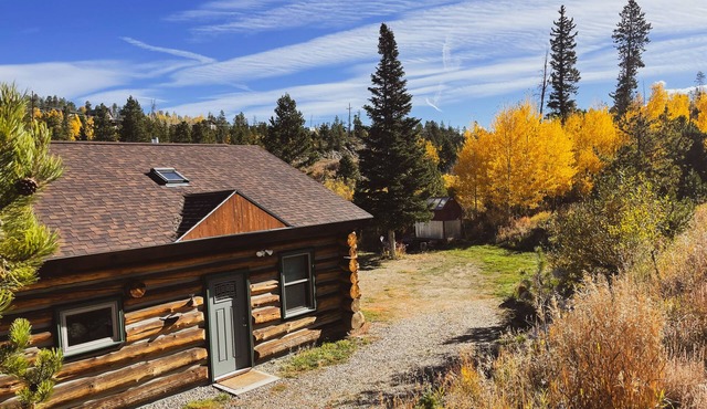 Cozy, Modern Log Cabin Getaway ~ 20 Min to Winter Park in Tabernash