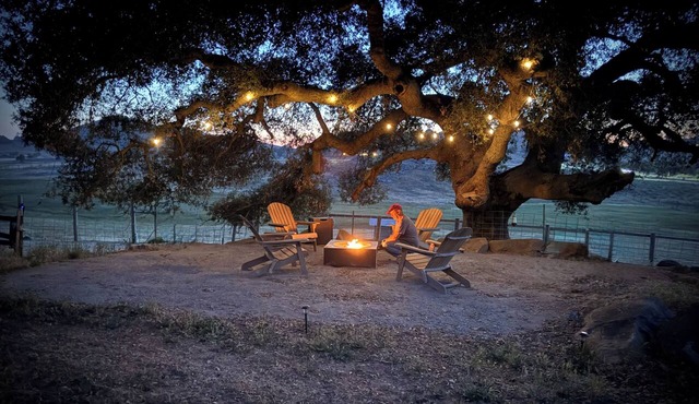 Cozy one bedroom apartment with 360 degree views on our unique camel farm