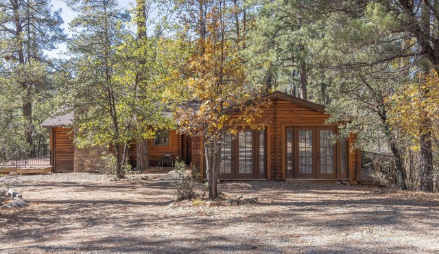 CozyCreekCabin-Treehouse-Large Deck-Mountain Home