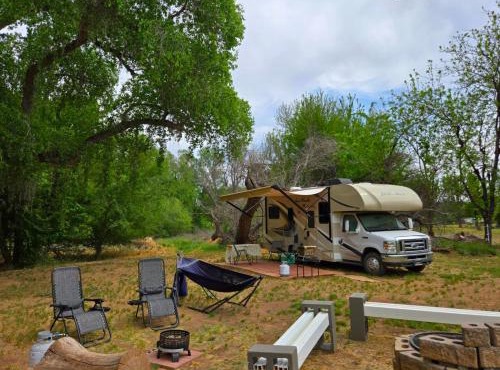 Dandy at Verde Retreat