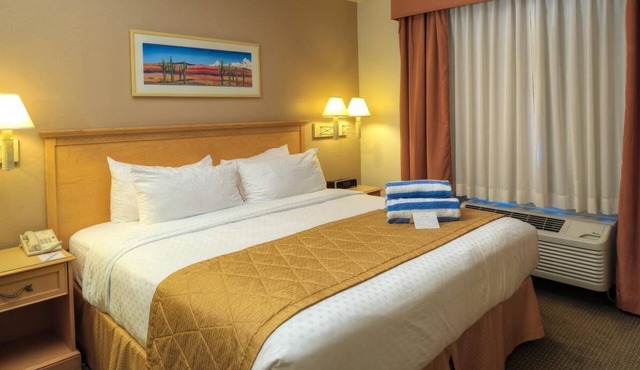 Discover Budget Stay @ Heart of Tucson: 4 Large Units Near Pima Space Museum! in Tucson