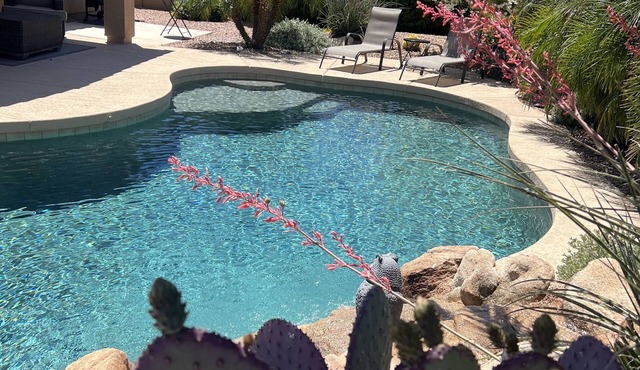 East Mesa Oasis with private Heated Pool-no extra charge! in Mesa