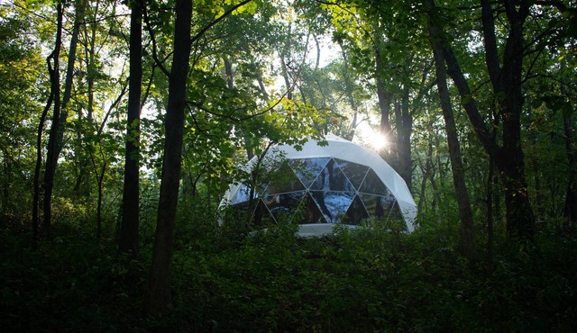 Eclipse Glamping Dome in Brinkhaven