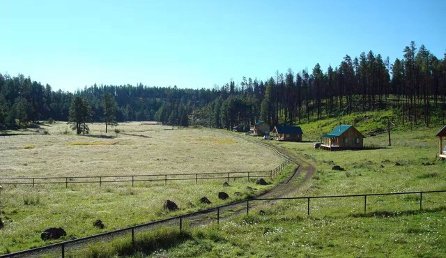 Entire Beaver Creek Guest Ranch 14-bed cabin in Blue perfect for group getaways
