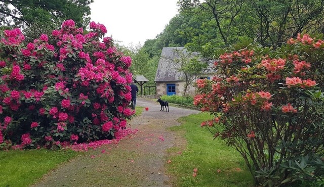 LE MOULIN D'AIROU in Villedieu-les-Poêles-Rouffigny
