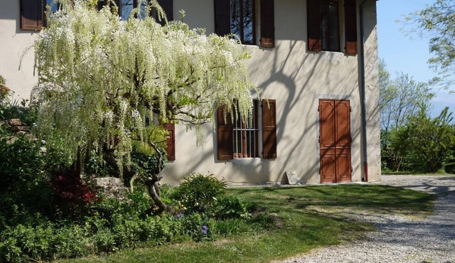 Gîte - SAINT SULPICE - Gîte in SAINT SULPICE