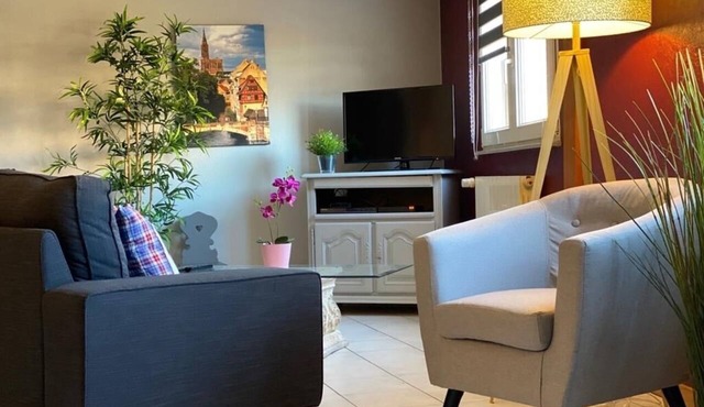 Gite géranium located in Eguisheim with private parking, 10km from Colmar in Eguisheim