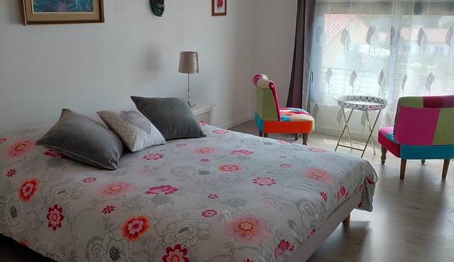 Gite in charming winegrowing village, twenty minutes from Carcassonne. in Comigne