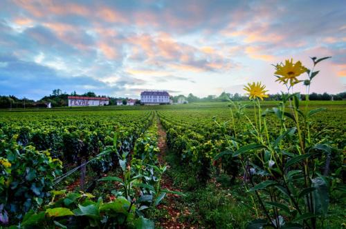 Gites Chateau Comblanchien in Comblanchien